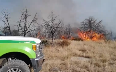 Combate Arteaga incendios en la Sierra
