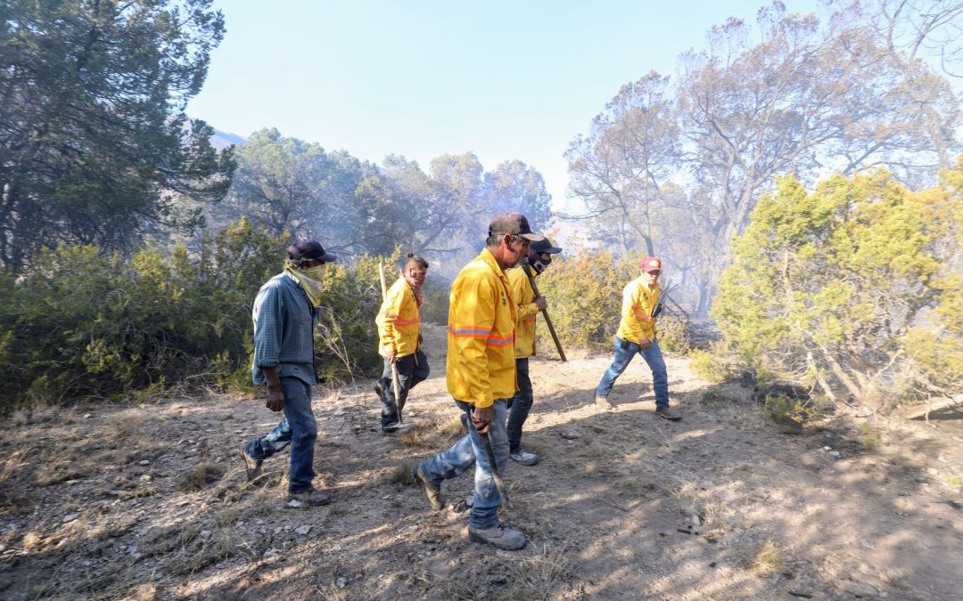 REFORESTA ARTEAGA 2 MIL ÁRBOLES EN LA RESERVA NATURAL VOLUNTARIA RANCHO LAS DELICIAS